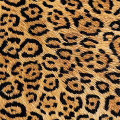 Print-ready pattern consisting of real animal textures