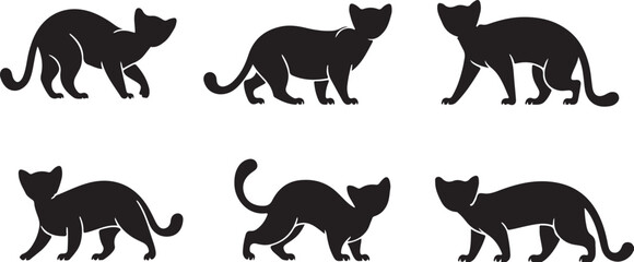 Obraz premium Ocelot silhouettes