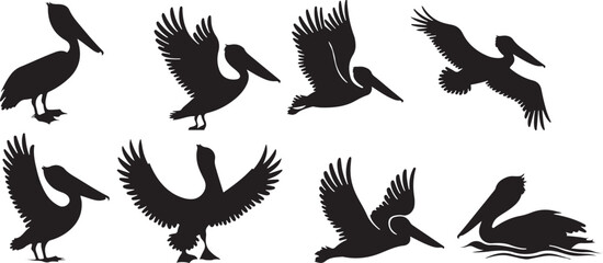 Fototapeta premium Pelican silhouettes