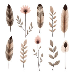 Elegant Botanical Illustration Feathers Flowers and Leaves in Neutral Tones