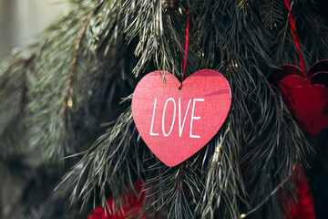 Heart-shaped love tag hanging from evergreen tree branch