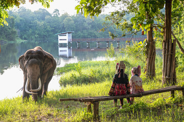 Rear view girls in traditional hilltribe costume sitting on bench looking at elephant in animal...