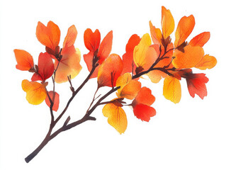Vibrant watercolor leaves in autumn hues on branch