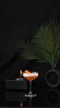 Scoth Bee Cocktail With Black Background
