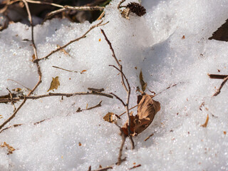 日差しに輝く残雪09