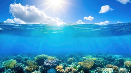 Fototapeta premium Vibrant ocean coral reef ecosystem with sunlight