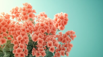 Coral Flowers Bloom Against Teal Sky