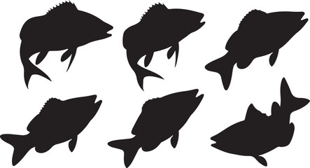 Tilapia silhouettes