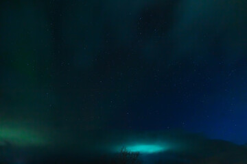 Fototapeta premium Northern Lights or Aurora Borealis on a winter night. Vibrant colors shimmer in the starry sky.