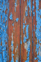 Wooden boards with cracked and peeling blue and brown paint. Old blue paint on a wooden plank