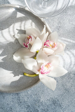Elegant white orchids with pink accents in natural light