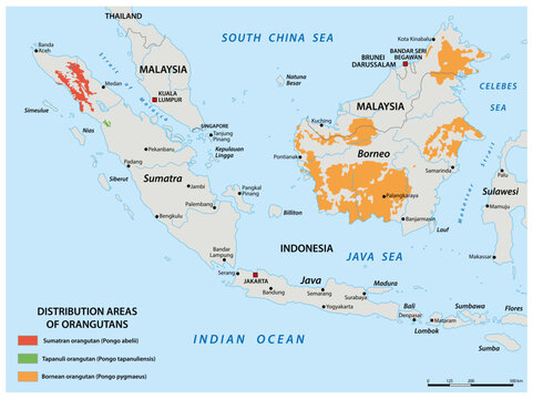Map of the distribution areas of orangutans, Indonesia, Malaysia