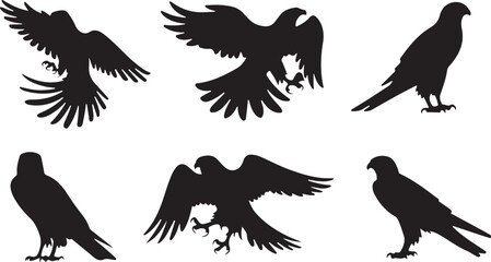 Obraz premium Falcon silhouettes