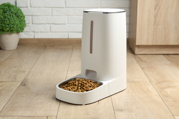Dry pet food in automatic feeder on floor indoors