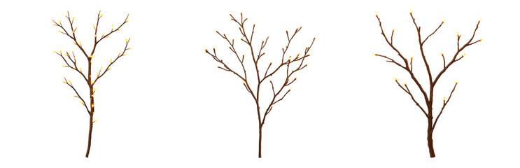 Obraz premium Branches with Buds and Leaves in Spring Season Isolated on transparent background