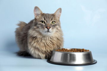 Cute cat near feeding bowl with dry pet food on light blue background