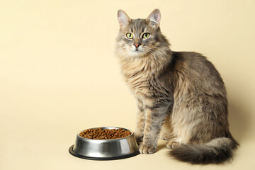 Cute cat near feeding bowl with dry pet food on beige background