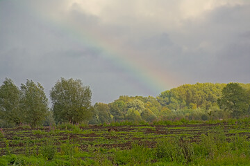 Dark stormy clouds and rainbow over a field with sunny trees in Bourgoyen nature reserve, Ghent,...
