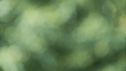 Obraz premium Green, yellow, orange background made in the camera with a macro lens creating out of focus circles of light and bokeh with soft outlines perfect for copy space or text 