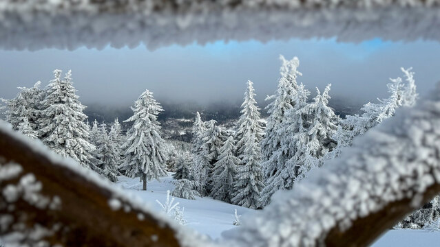 Piękny krajobraz zimowy w g&oacute;rach polskich. G&oacute;ry Izerskie, widok ze Stogu Izerskiego, Dolny Śląsk, Polska. Beautiful winter landscape in the Polish mountains. Izera Mountains, view from Stog Izerski.