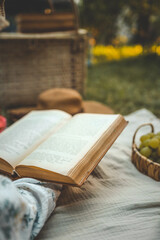 A young woman in a straw hat and vintage dress enjoys a peaceful picnic, reading a book. A wicker...
