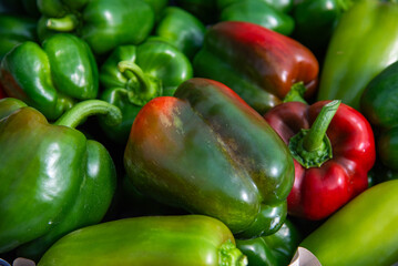 Green paprika close up. Giant bell pepper fruits. Salad vegetables. Vegetarian organic food planted at courtyard garden. Healthy diet.