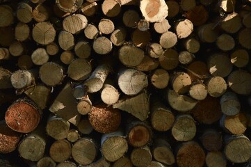A textured stack of neatly cut firewood logs awaits use during the cold winter months ahead.