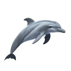 Fototapeta premium Dolphin swimming gracefully in clear blue water isolated on png transparent background, cut out