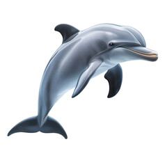 Fototapeta premium Dolphin swimming gracefully isolated on png transparent background, cut out