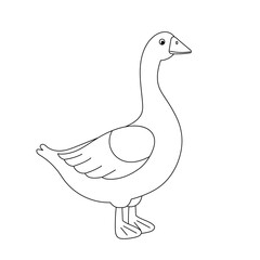 Contour illustration goose. Goose in hand drawn style. Farm bird isolated on white background. Domestic animal.