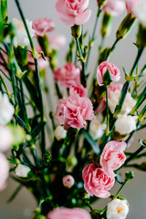  Beautiful pink and white flowers on a white background.