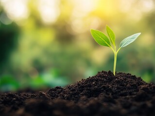 Young seedling sprouting from brown soil on a blurred green background, symbolizing new life and growth in challenging environments.
