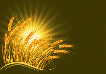 Golden Wheat Field - Sunrise Glow Background