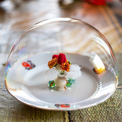 Membrane bubble with air formed from soup solution. Tiny marble vase with red flowers and feathers. Liquid properties illustration, physics phenomena. Ideas for Science teaching and explanation.