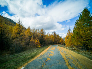 Obraz premium Route automnale