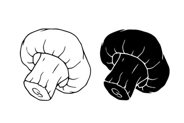 Line sketch, stamp, silhouette of champignon mushrooms. Vector graphics.