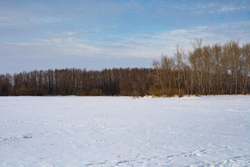 winter landscape with trees