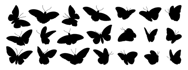 Birdwing and morpho butterflies on transparent background, black silhouette illustrations
