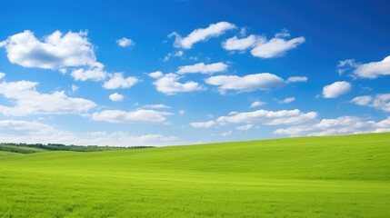 Fototapeta premium outdoors green grass blue sky