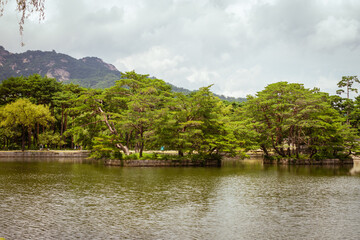 Fototapeta premium Scenic Pond With Lush Green Pine Trees Surrounded By Mountains Under Cloudy Sky Creating Serene Atmosphere