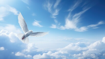 bird cloudy blue sky