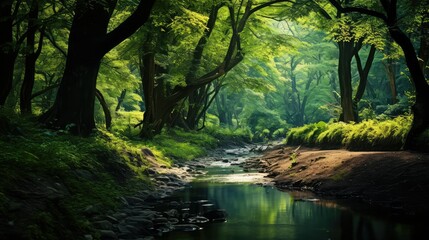 Naklejka premium trees background blue green