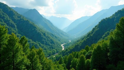 Fototapeta premium Dense forest covering the valley between mountains, foliage, nature