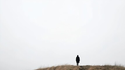 Desaturated silhouette of a lone traveler against an open sky, vast landscape, cinematic storytelling mood