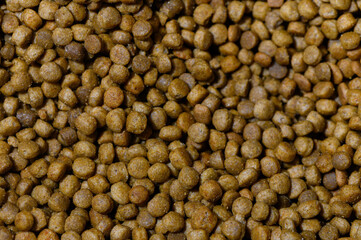 Pet food kibbles scattered on a surface ready for feeding time at a cozy home