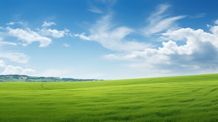 Fototapeta premium landscape green grass border