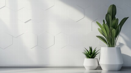 Obraz premium modern minimalist white hexagon wall with plants