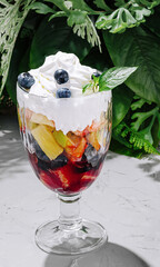 Refreshing dessert cup filled with fresh fruits and cream