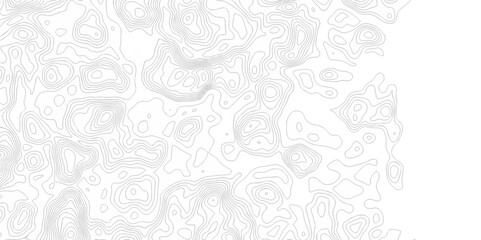 Abstract pattern with lines seamless pattern topography map design. abstract sea mounted map area space geometric line technology topo landscape grid map texture.	