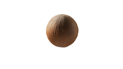 brown egg on white background